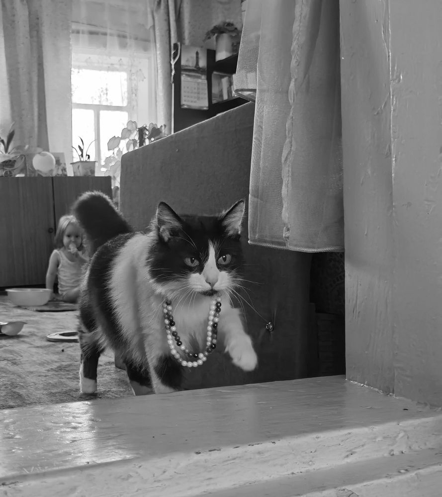 Модный приговор.