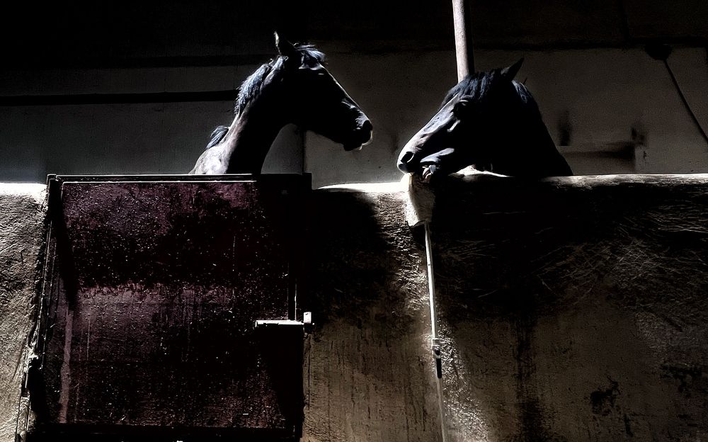 Photograph by amin Sharafiani