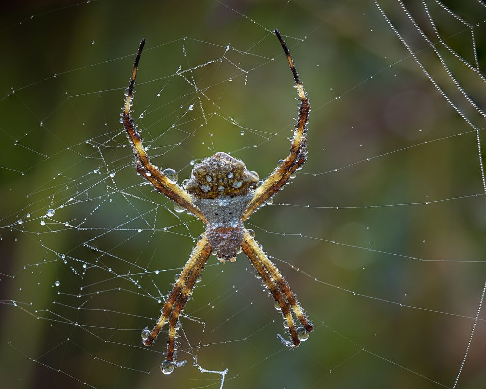 Photograph by Valdir Hobus