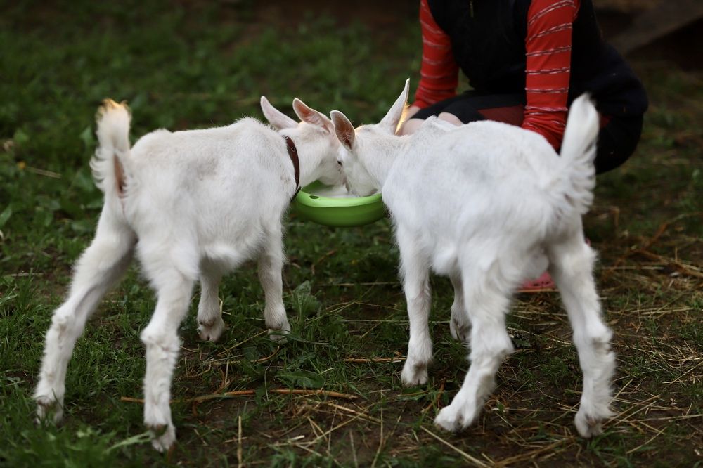 Photograph by Вера Сдвижкова