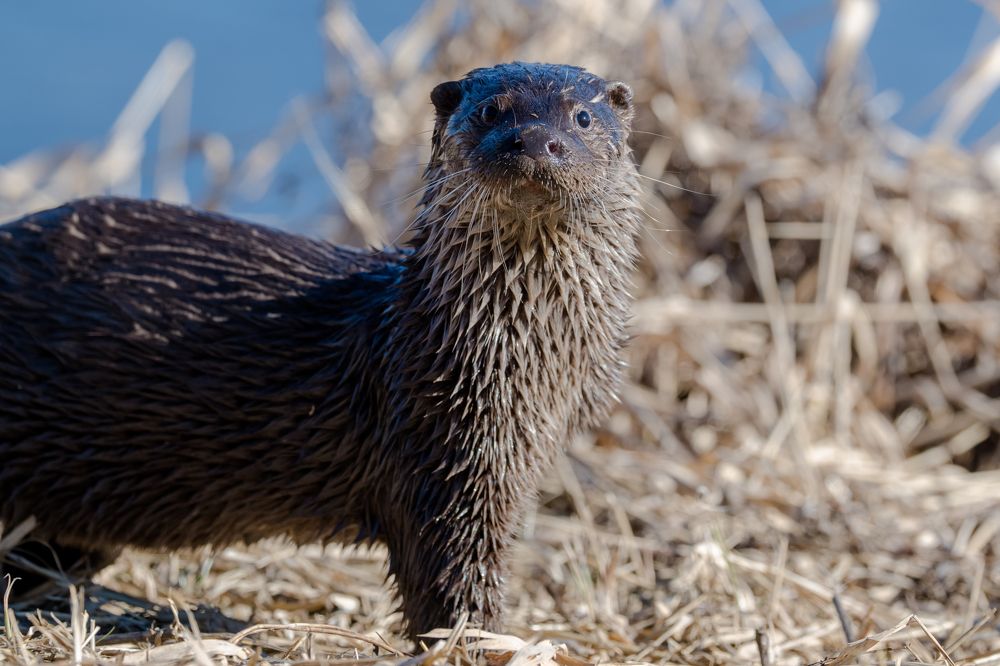 Photograph by Valerijs Bukovskis