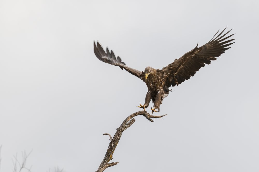 Photograph by Valerijs Bukovskis