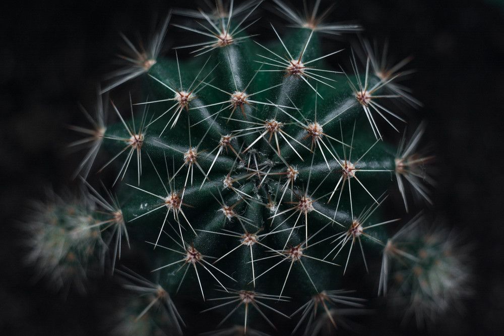 Photograph by Людмила Прибылова