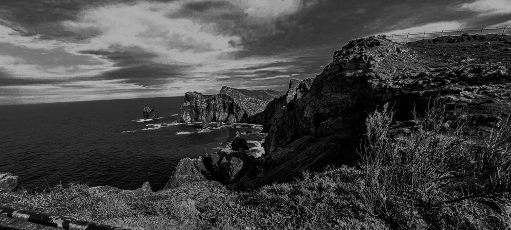 Madeira en Blanco y Negro