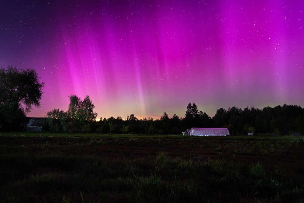 Photograph by Колесенко Иван