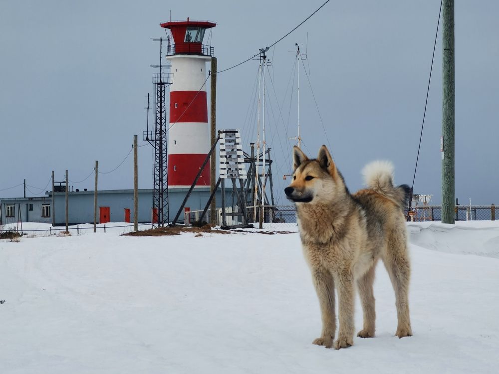 Суровый Север: май на Кольском полуострове