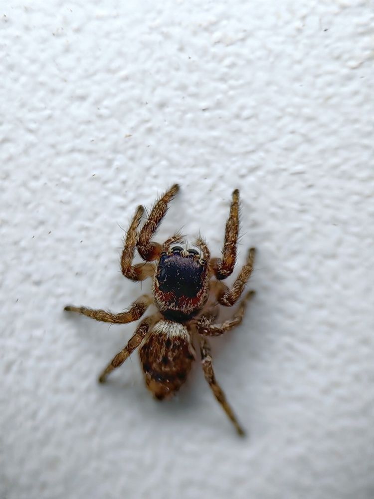 Photograph by Ekaterina Fadeeva