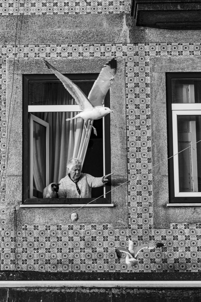 Фотография автора Sérgio Brandão