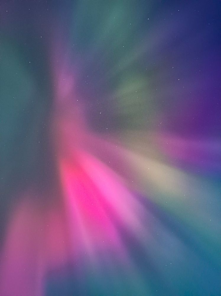 Фотография автора Олеся Непомнящих