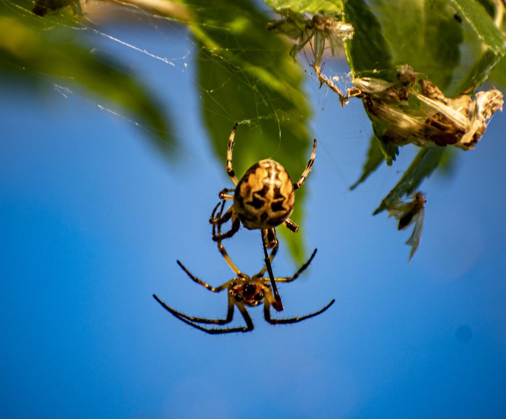 Photograph by Irina Luidinshina