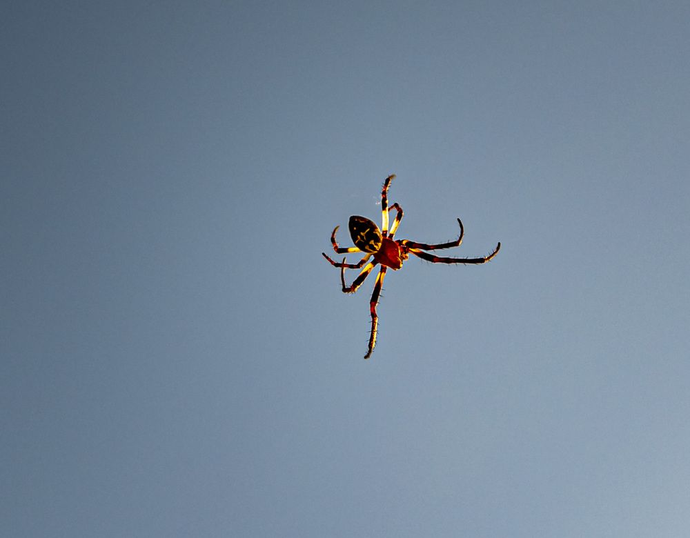 Photograph by Irina Luidinshina