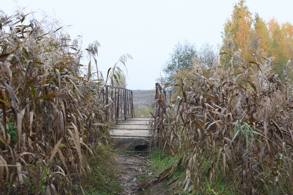 Photograph by Дмитрий Жуков