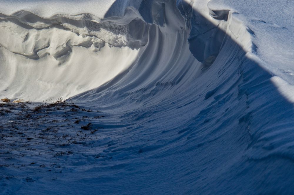 Photograph by Yrii Usoltsev