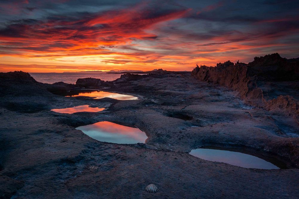 Photograph by Eriks Zilbalodis