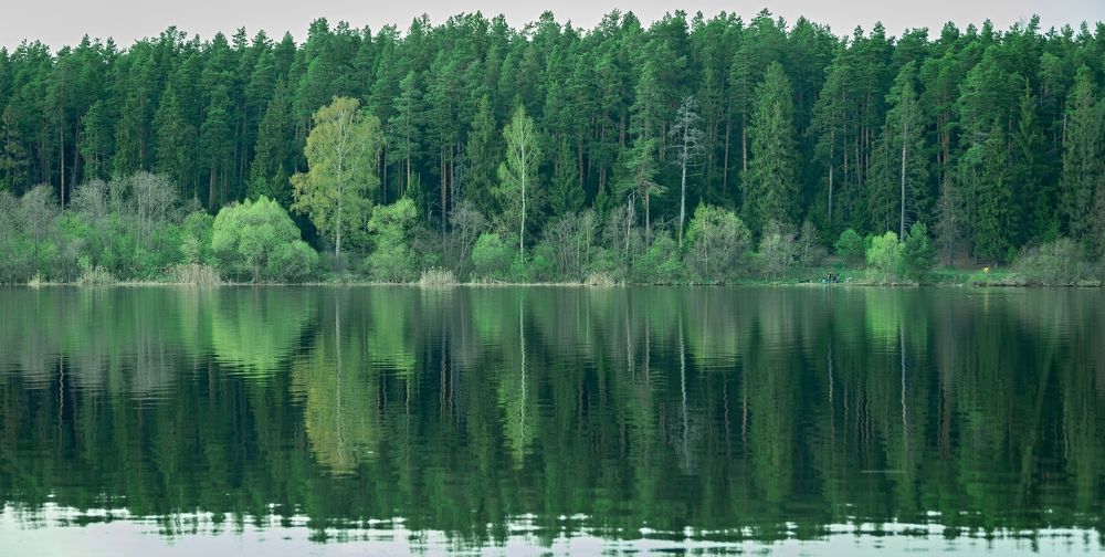 Photograph by Сергей Басов