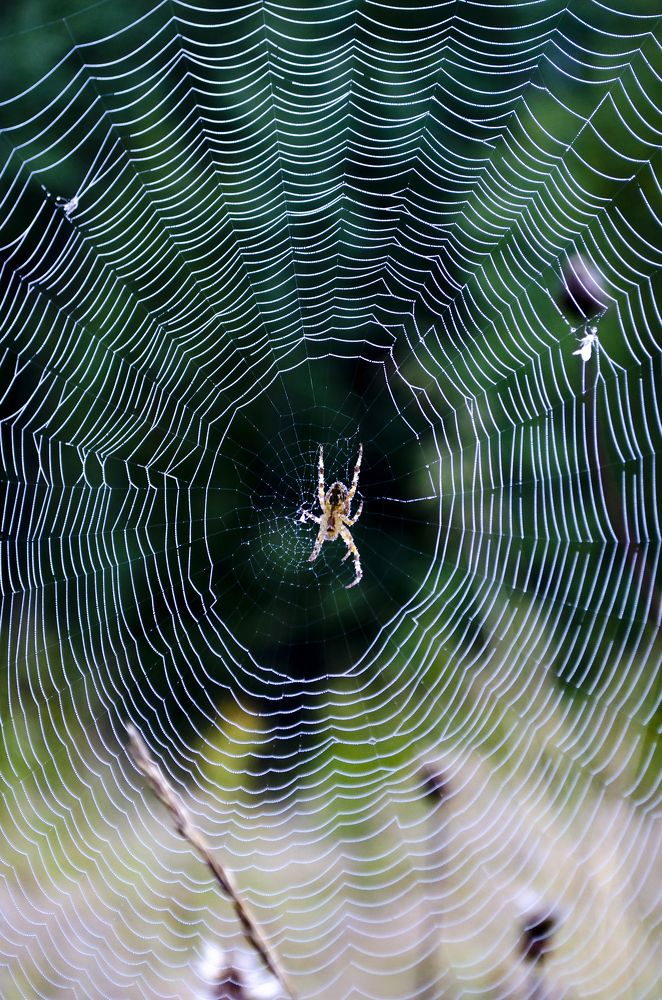 Photograph by Любовь Бусова