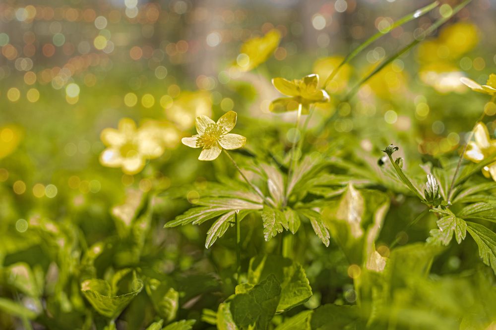 Photograph by Любовь Перевозникова