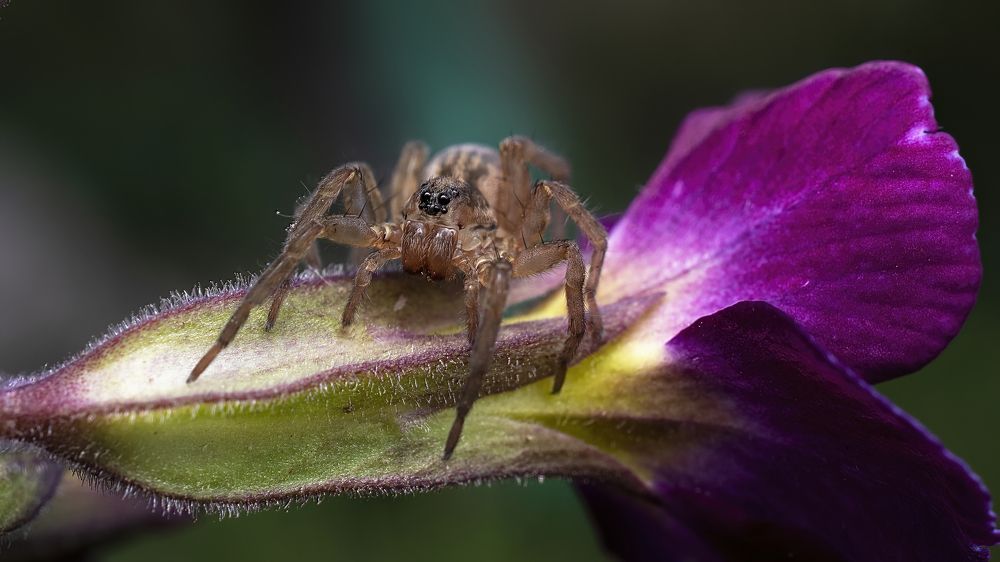 Photograph by Людмила Железнова