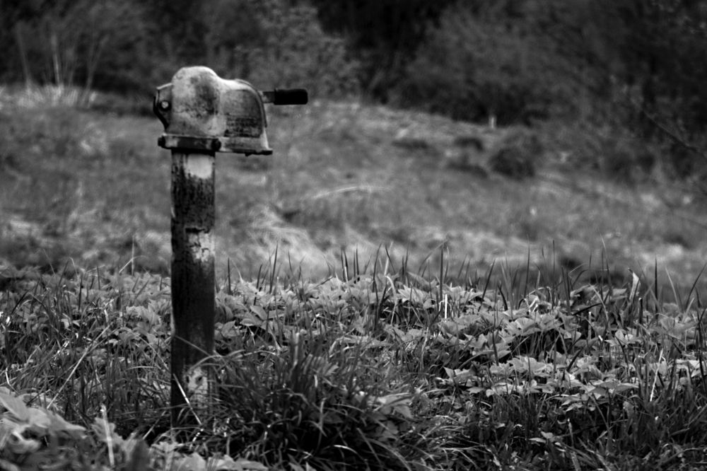 Photograph by Александр Макаренко