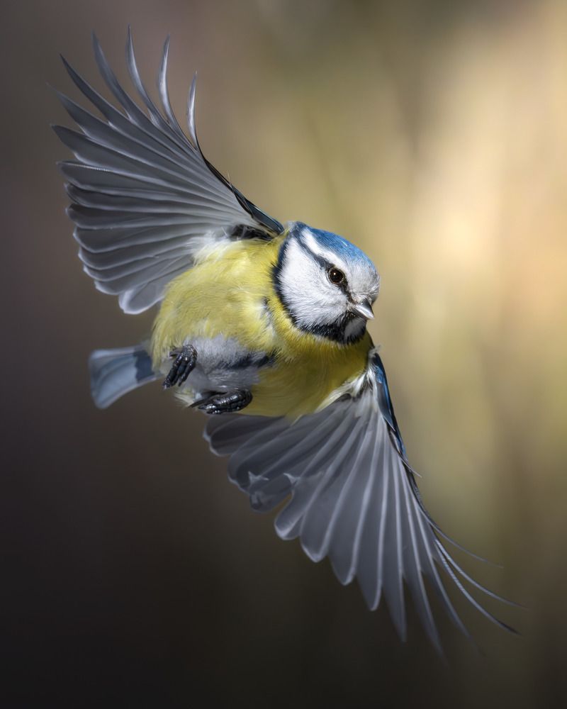 Photograph by Поляков Михаил