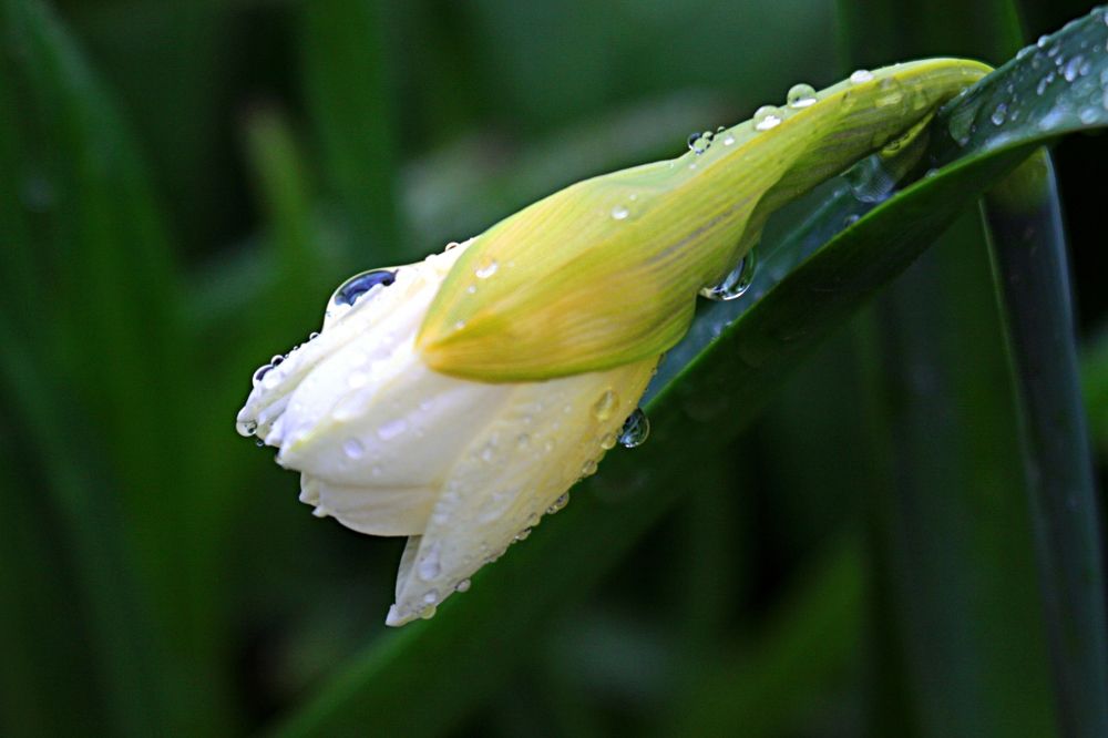 Photograph by Александр Макаренко