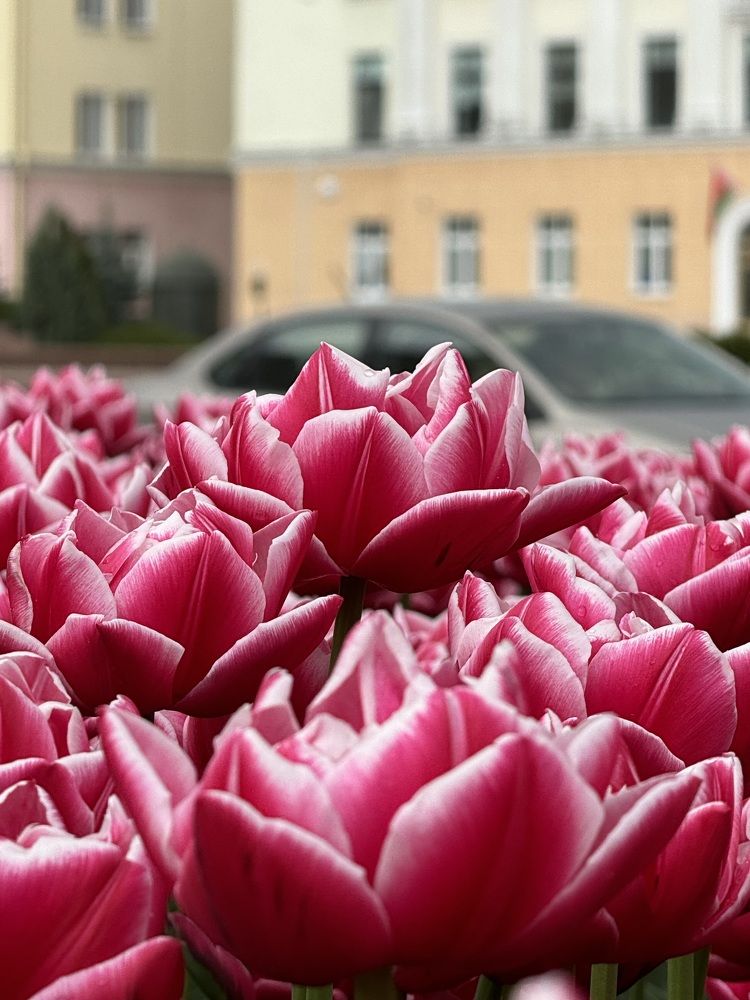 Photograph by Павел Арсенович