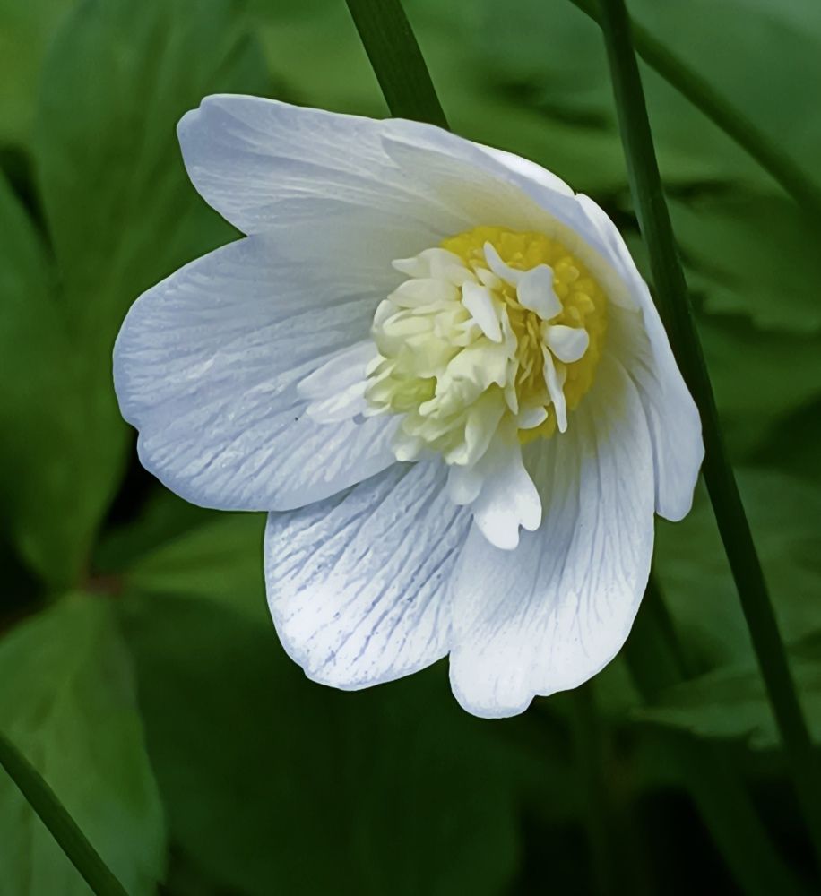 Photograph by Наталья Соколова