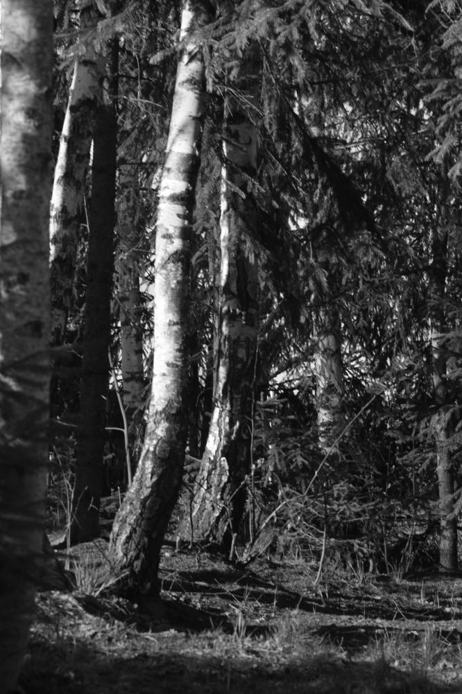 Photograph by Александр Макаренко