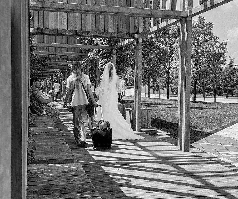 Photograph by Светлана Дисяк