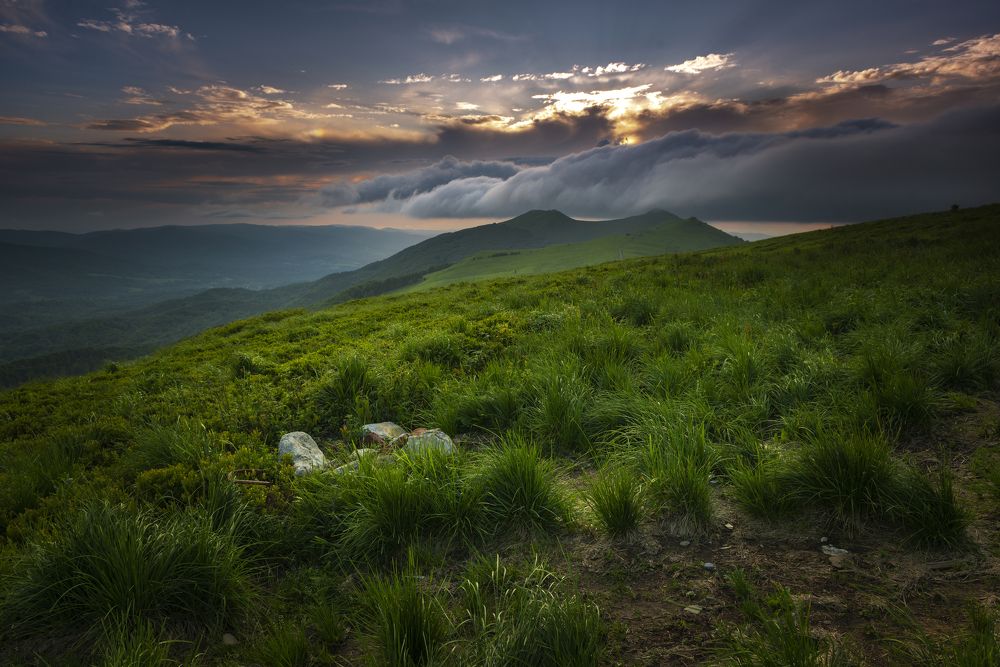 Photograph by Dobiesław Kokoć