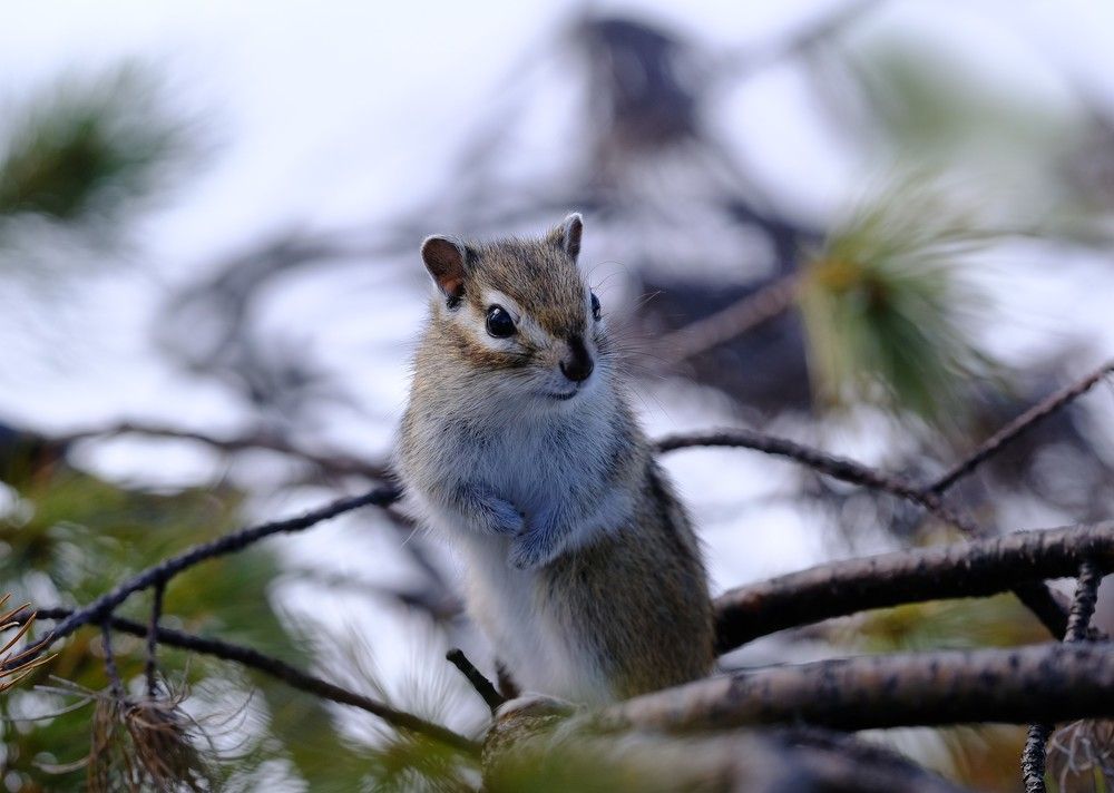 Photograph by Хазан Сергей