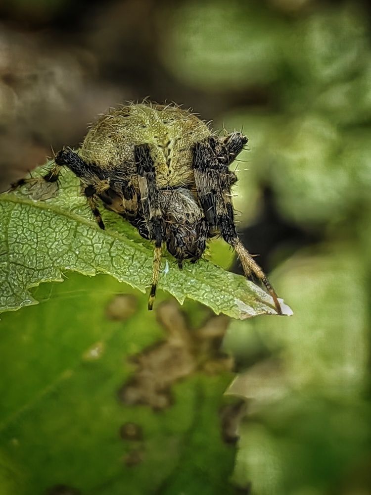 Фотография автора НАТАЛЬЯ СЕВЕР