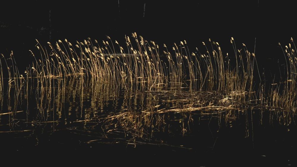 Photograph by Анна