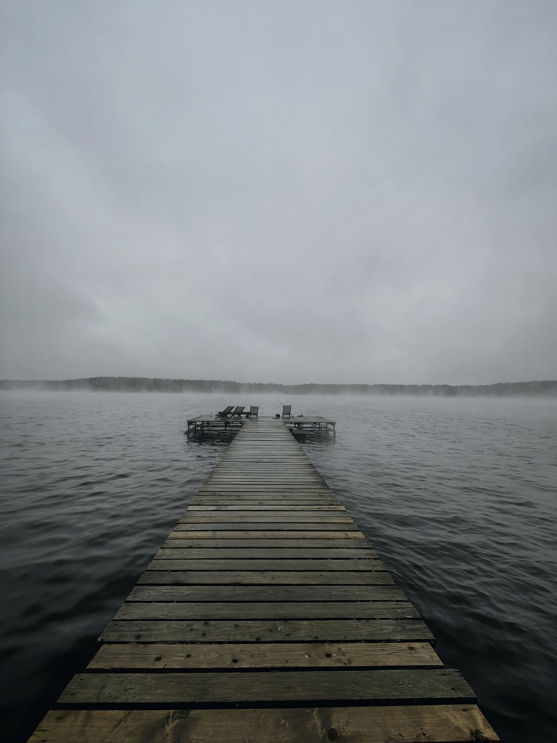 Photo #10593943