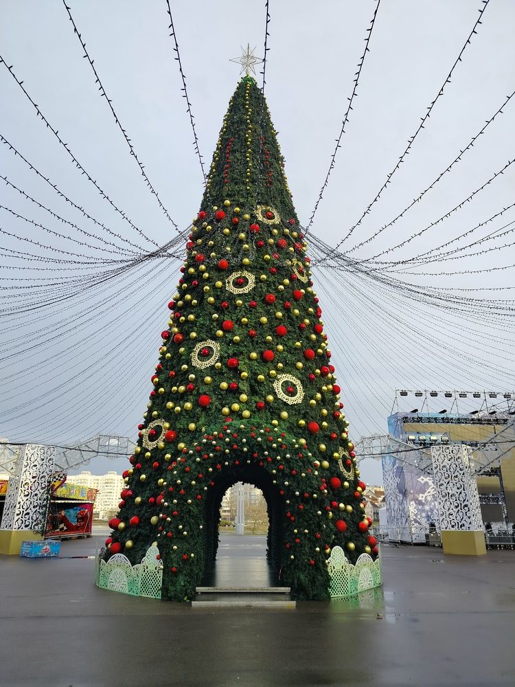 Фотография автора Наталья Драгун