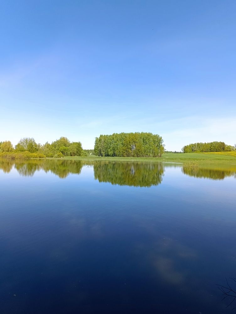 Photograph by Светлана Таркан