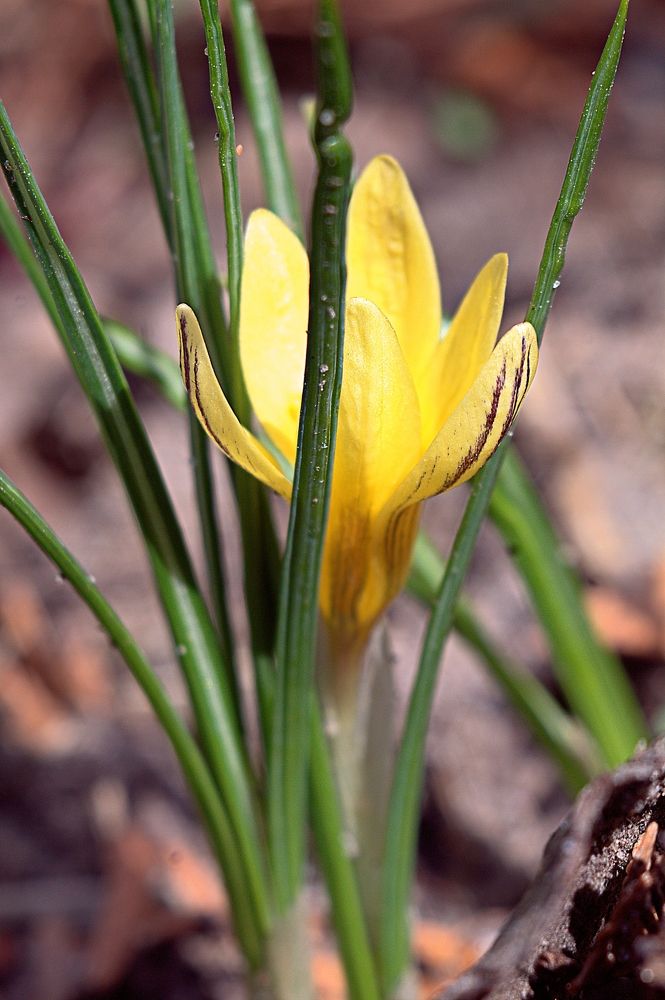 Photograph by Александр Макаренко