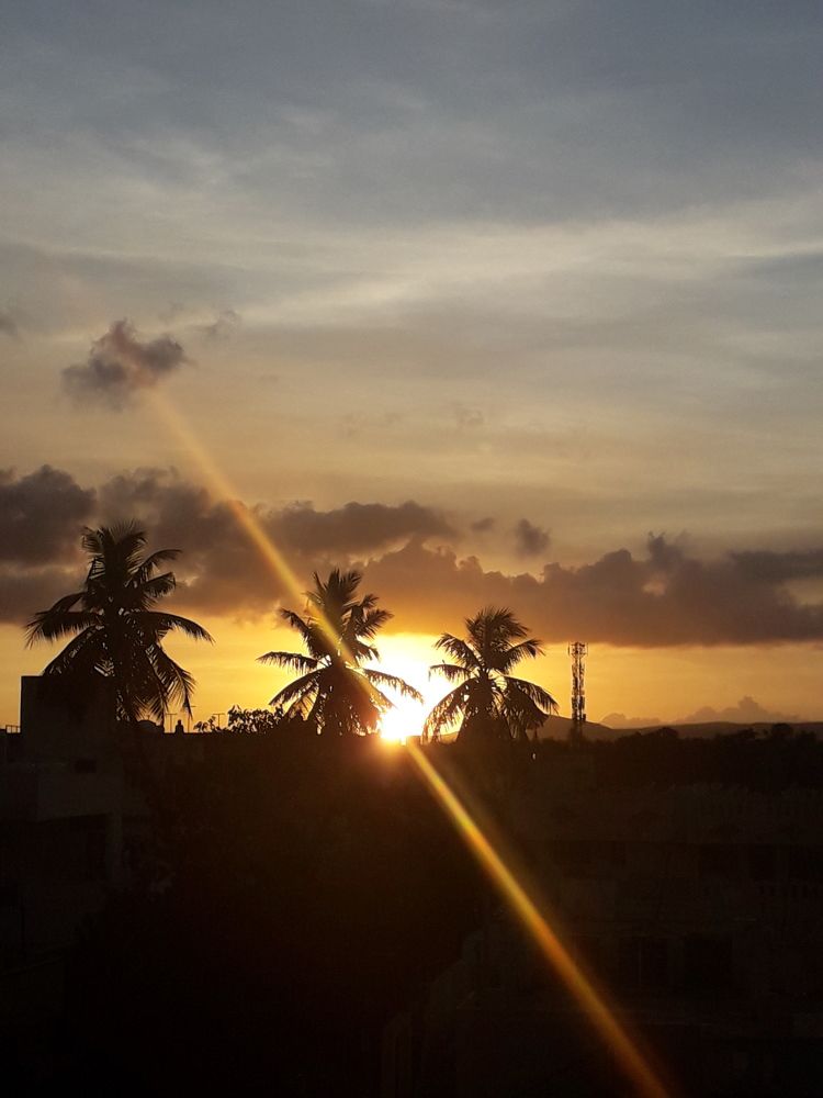 Photo #10594018