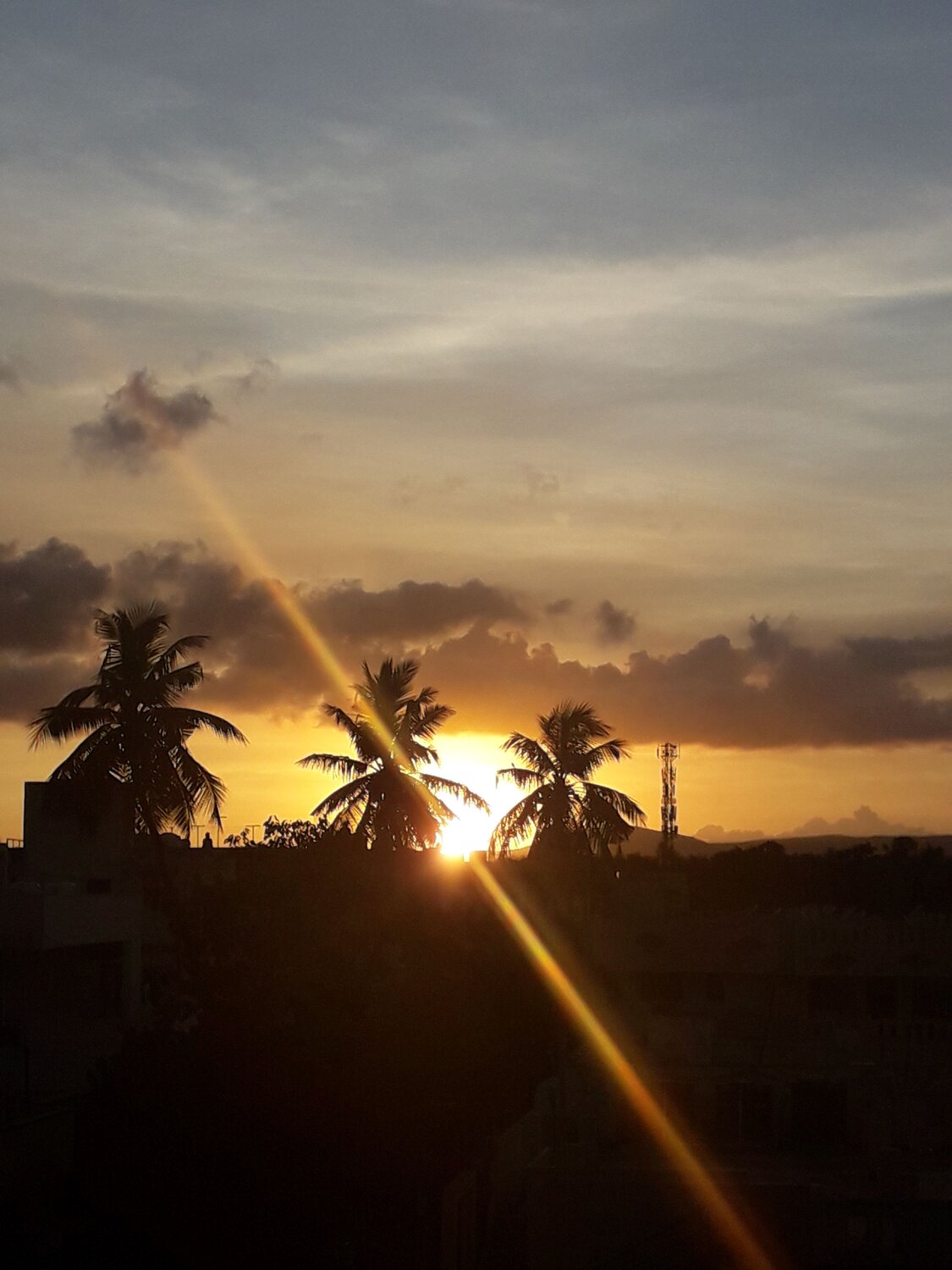 Photo #10594018