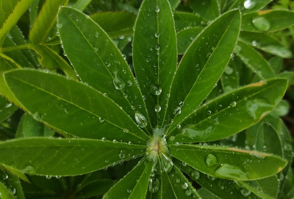 Photograph by Елена Попова