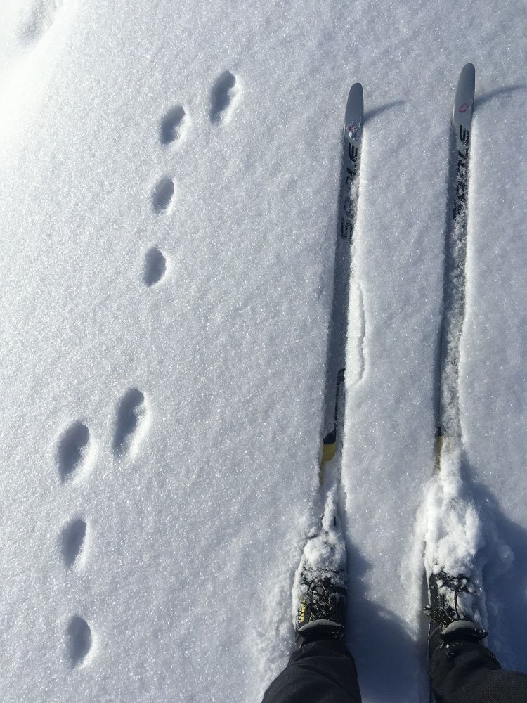 Photograph by Ольга Рубцова