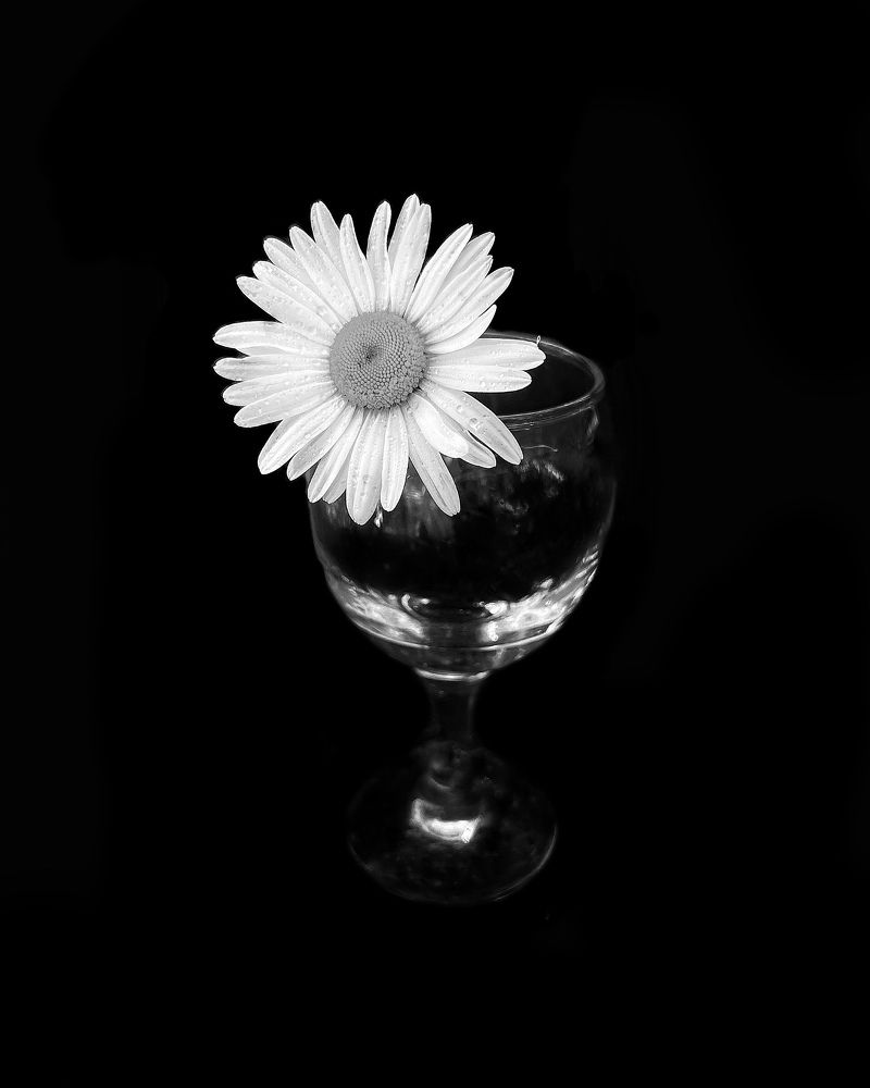 Фотография автора Юлия Хрумалова