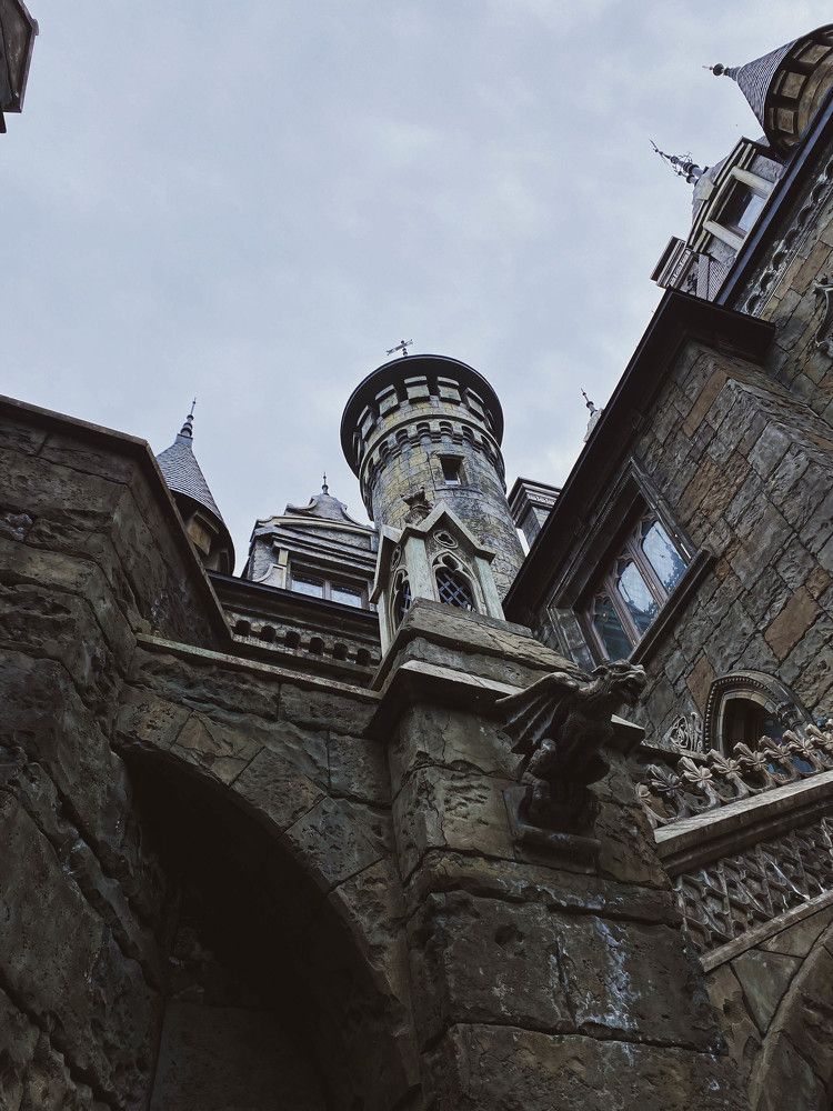 Фотография автора Дарья Ольховская