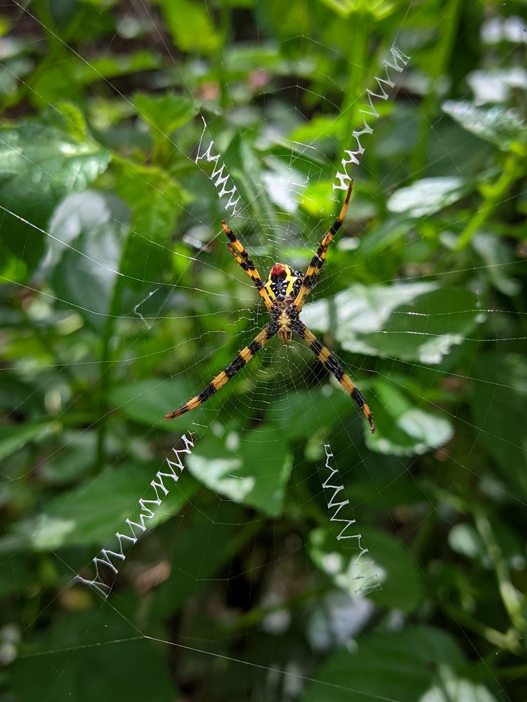Photograph by Vijayakumar