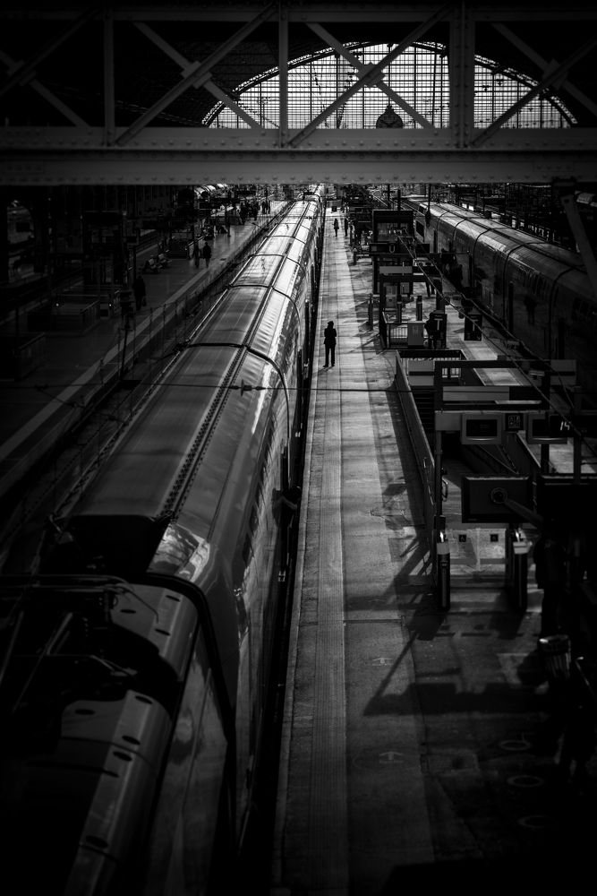 Photograph by Pascal Andreani