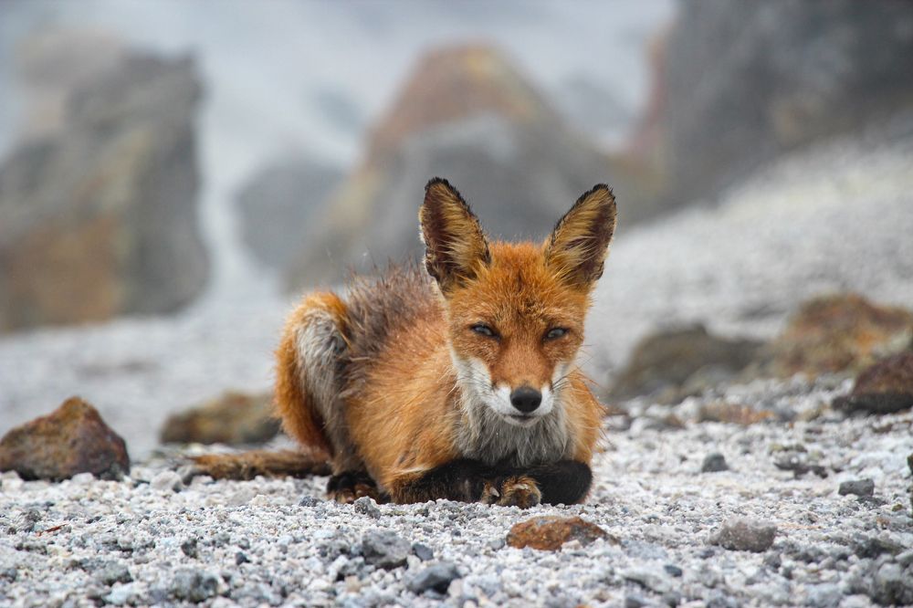 Photograph by Юлия