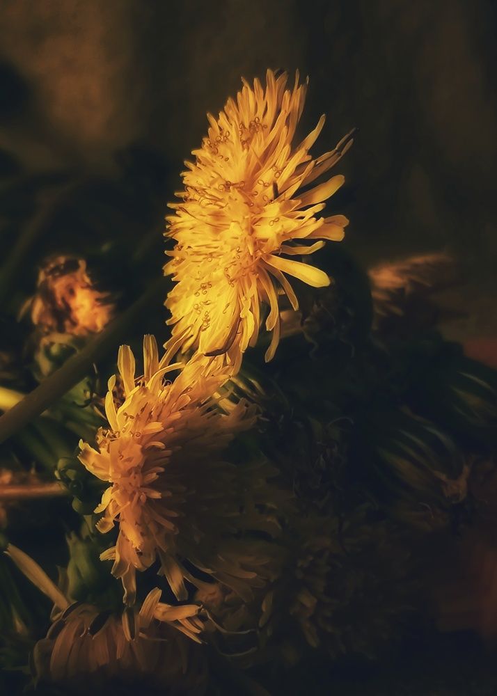 Photograph by Екатерина Воротникова
