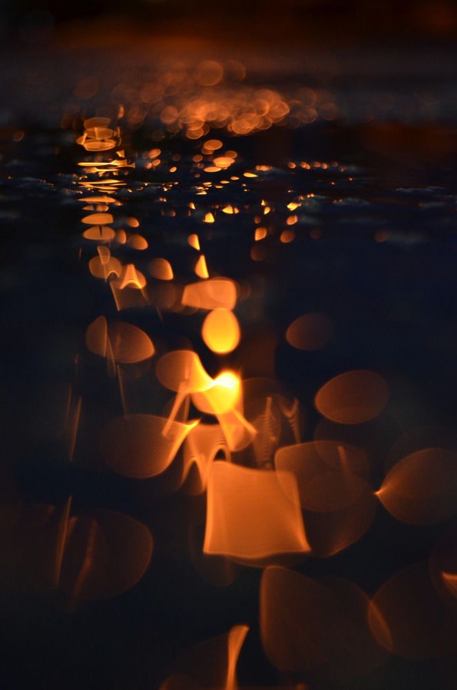 Фотография автора Антонина Клементьева