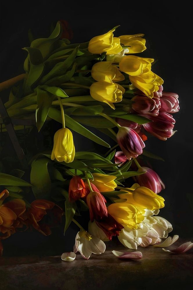 Фламандский натюрморт