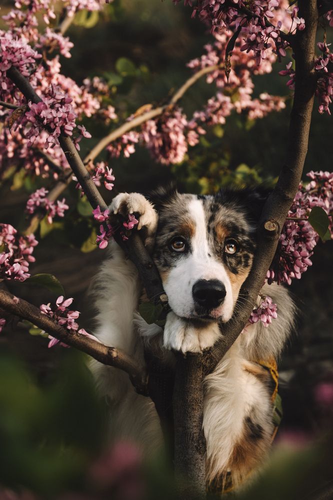 Фотография автора Саша Зуева